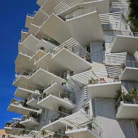 Arbre Blanc, Une Folie Montpellieraine Ngoại thất bức ảnh