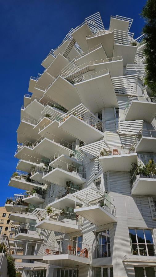 Arbre Blanc, Une Folie Montpellieraine Ngoại thất bức ảnh