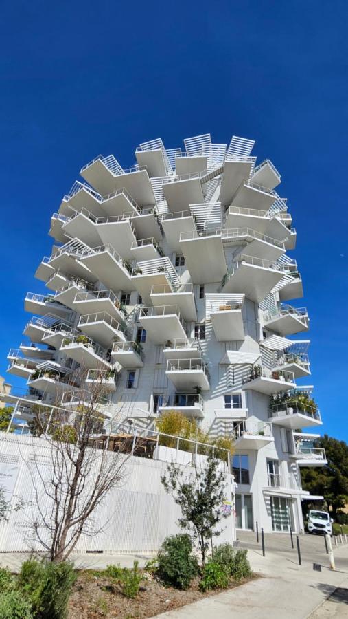 Arbre Blanc, Une Folie Montpellieraine Ngoại thất bức ảnh