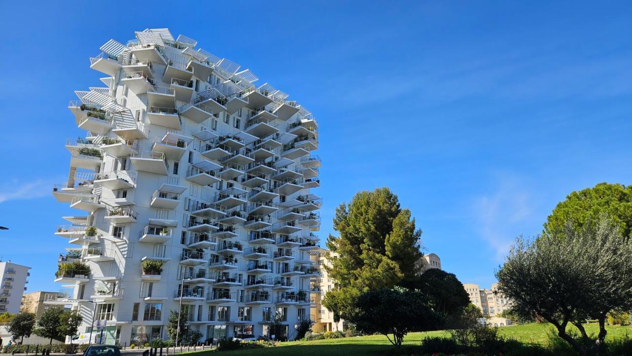 Arbre Blanc, Une Folie Montpellieraine Ngoại thất bức ảnh